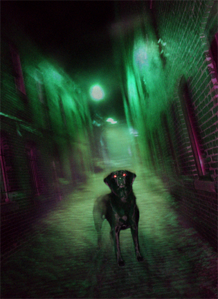 Phantom Dog